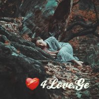 ტყის საიდუმლოება (თავი მეორე)