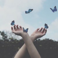 ცისფერი პეპლები