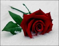 ო, როგორც გინდა, ჩემო..