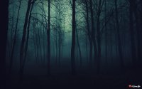 სევდა და ბურუსი(2)
