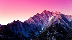 თავისუფალი საქართველო