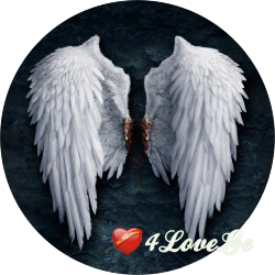 Wings-სრულად