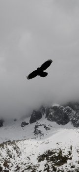 კომა. თავი 1.