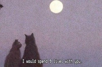 შეპყრობილი (10)