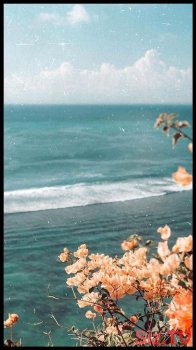 ბრძოლა (3)