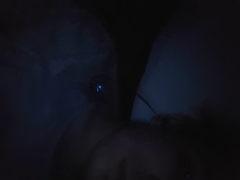 ყოფილი დეტექტივი