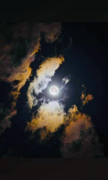 გასეირნება