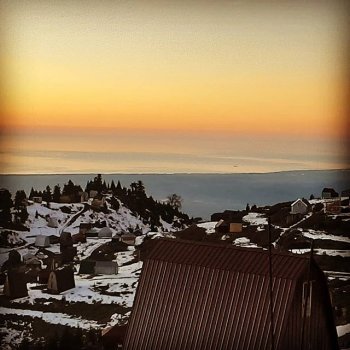 თემა