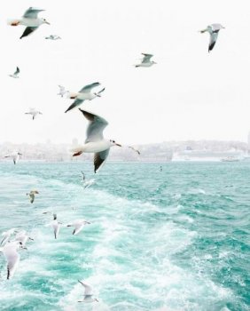 ფიქრის კონტროლი