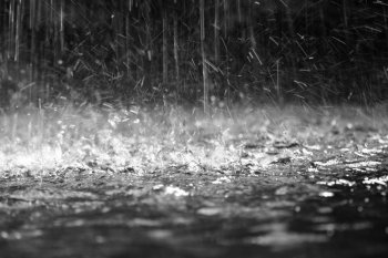 November Rain