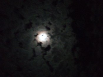 ეგო