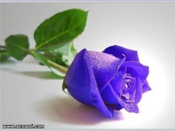 მეტი სითბო♡