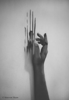 ზოი III.5