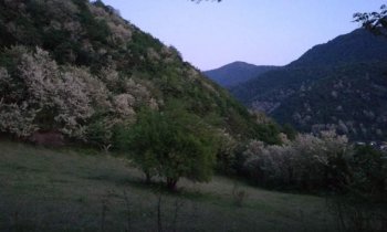 ალბიონის ნისლი