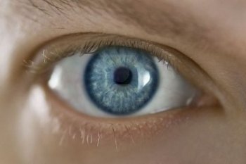 Ocean's eyes