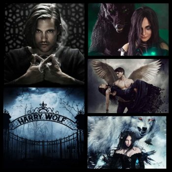 harry wolf /5/