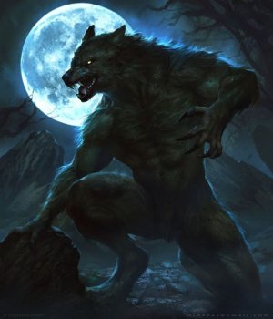harry wolf /8/