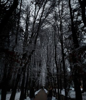 დეკემბრის სევდა