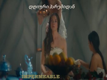 დღიური ჰარემიდან, თავი 7