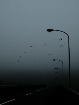გარდაუვალია...
