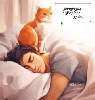 ცხოვრება უცნაურია (სრულად)