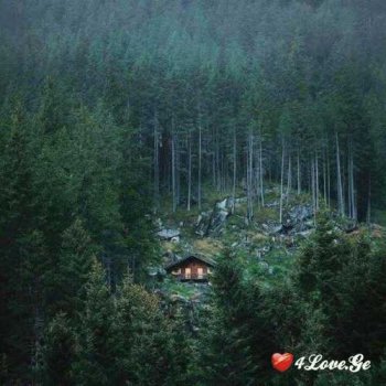 May love burn everything ( part 4)