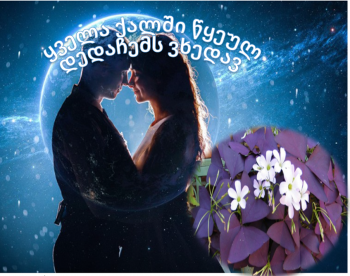 ყველა ქალში წყეულ დედაჩემს ვხედავ( 18+) სრულად