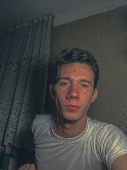 აფრენილი შაშვები