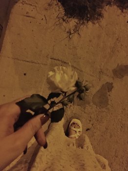 ანარეკლი