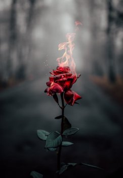 ზნეობა