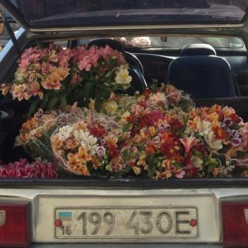 თბილისური ოდისეა(ნაწილი I)
