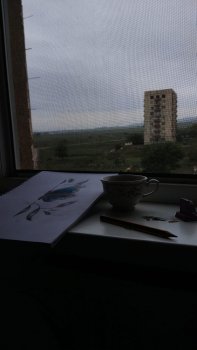 ღამის აჩრდილი